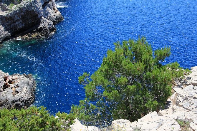 From Zadar: Kornati National Park Day Trip With Breakfast & Lunch - Telašćica National Park Exploration
