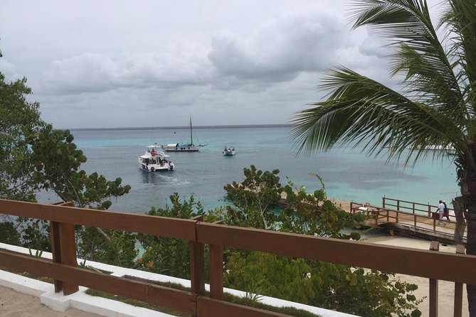 Full-Day at Catalina Island From Santo Domingo With Optional Snorkeling Included - Accessibility and Participation