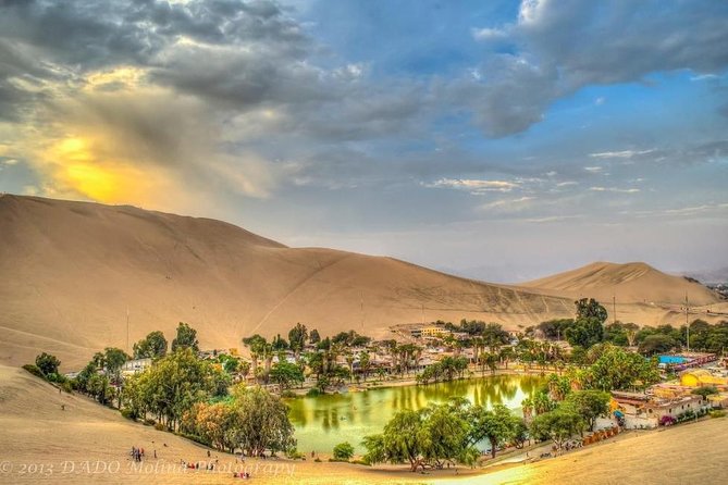 Full Day Ballestas Islands + Huacachina, the Oasis of America + Ica Desert - Ballestas Islands Features and Highlights