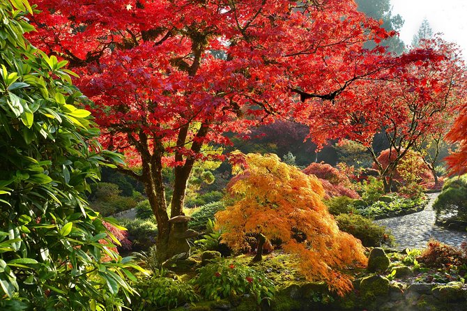 Full Day Best of Vancouver Private City Tour and Wine Tasting - Inclusions