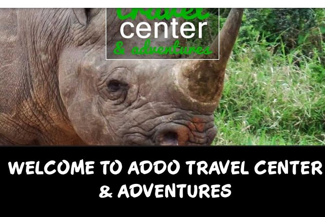 Full Day Big 5 Addo Safari - Conservation Efforts Highlighted