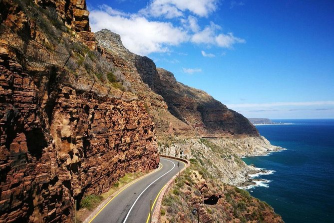 Full-Day Cape Peninsula Tour From Cape Town - Scenic Drive Experience