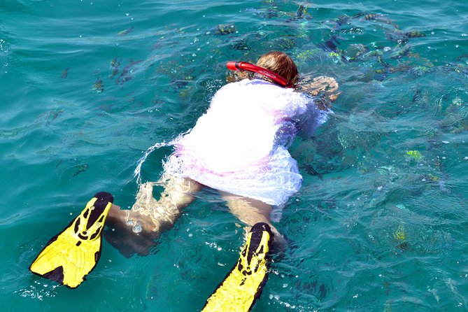 Full Day Dhow Cruise to Khor Sham With Lunch & Snorkeling (Shore Excursions) - Cruise Highlights and Inclusions