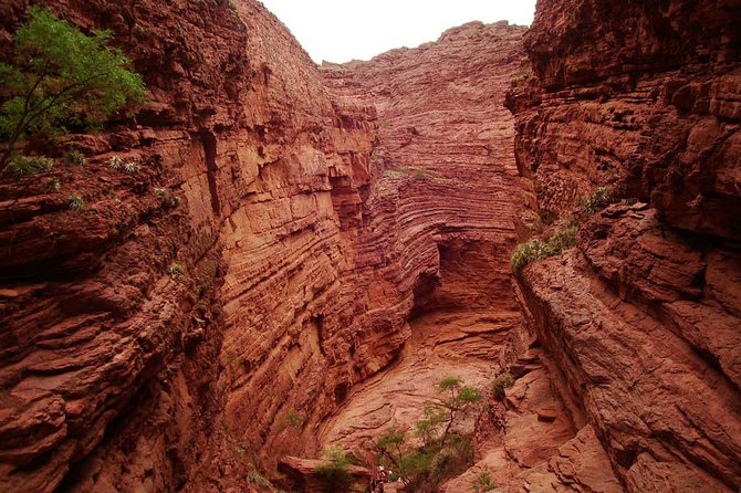 Full Day Excursion to Cafayate From Salta - Cancellation and Payment Policy