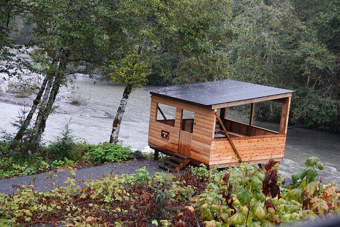 Full Day Grizzly Bear Tour to Toba Inlet - Scenic Boat Ride