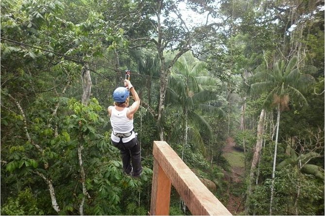 Full Day of Adventures in Tambopata - Spotting Wildlife in the Undergrowth