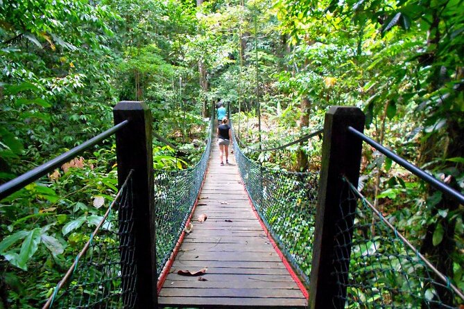 Full Day Orang Utan Sepilok, Proboscis Monkey, Sunbear, RDC - Wildlife Experiences