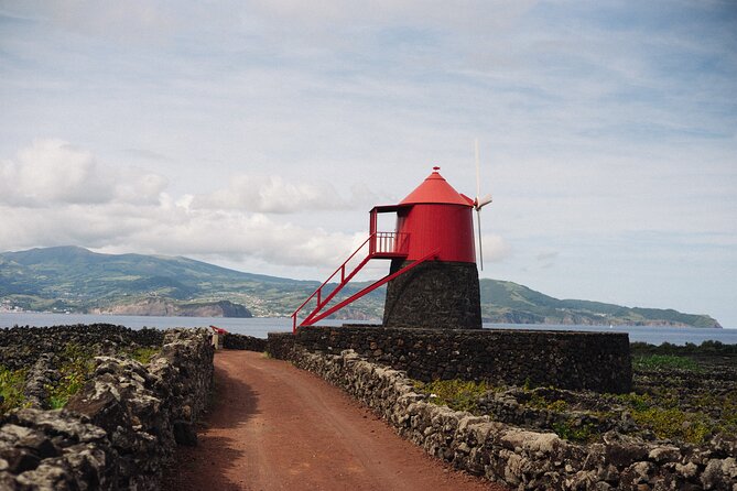 Full-Day Pico Island Tour From Horta - Highlights of the Tour