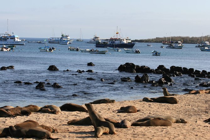 Full-Day Pinzon Island Snorkeling and Fishing - Included Activities and Amenities