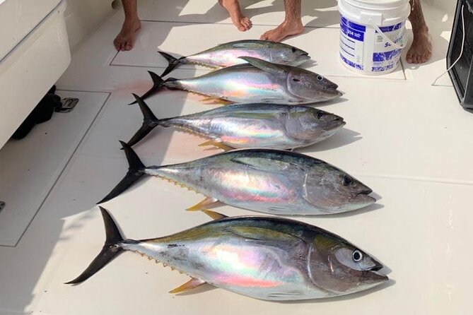 Full Day Playa Flamingo Private Fishing Trip - Itinerary and Inclusions