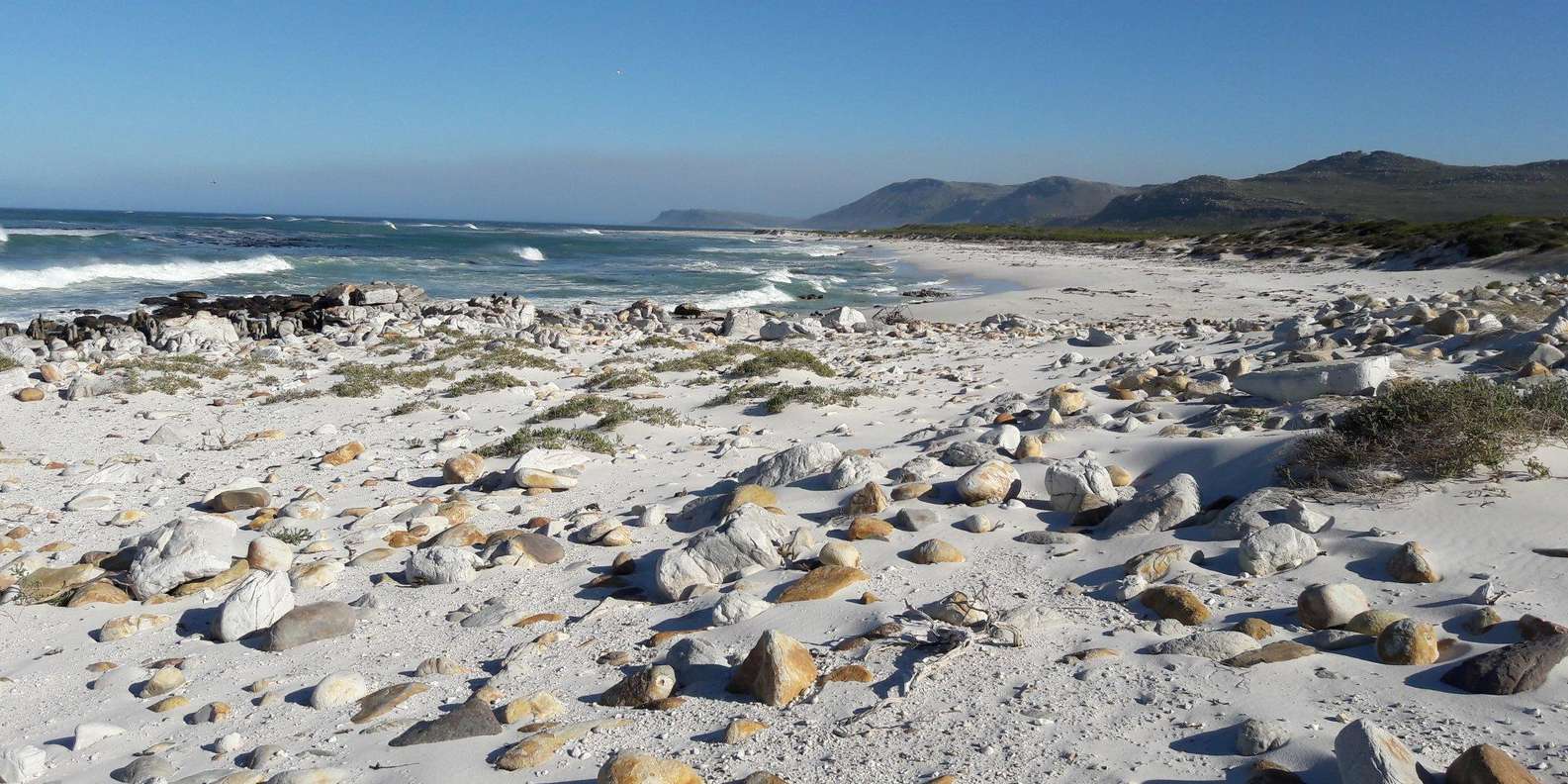 Full Day Private Cape Peninsula and Boulders Beach Tour - Exploring Cape of Good Hope