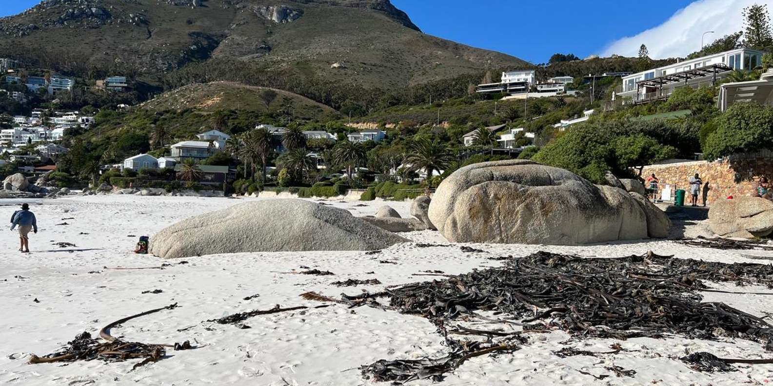 Full-Day Private Cape Town's Most Beautiful Beaches Tour - Clifton Beach Exploration