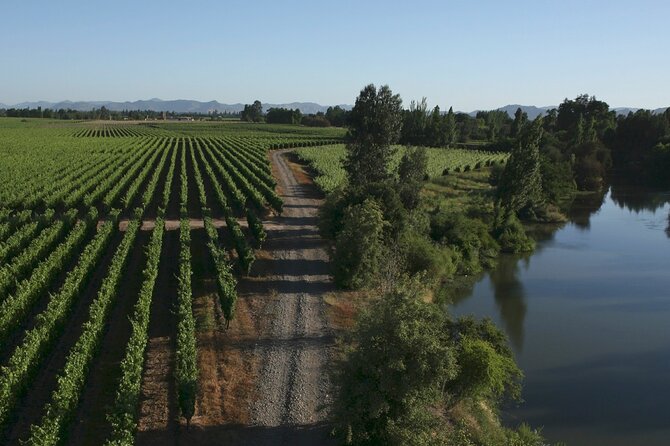 Full Day Private Colchagua Wine Tour From Santiago - Pickup and Meeting Details