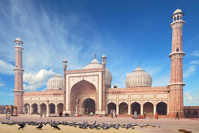 Full Day Private Custom Tour of New Delhi - Transportation Details