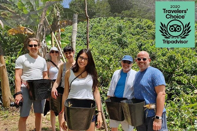 Full-Day Private Guatape Coffee Villa Tour From Medellin - Itinerary