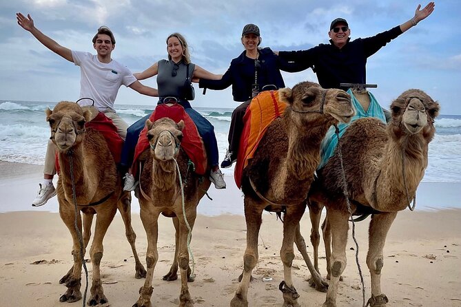 Full-Day Private Guided Tour in Tangier - Pickup and Accessibility