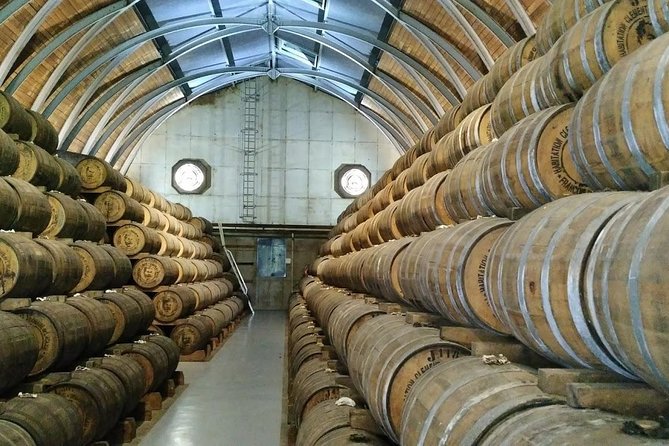 Full Day Private Historic Tour of Rum Production in Martinique - Tour Requirements and Accessibility