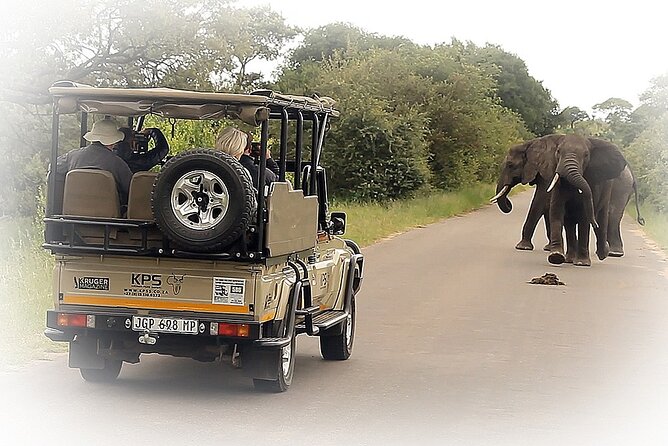 Full Day Private Kruger Park Safari - Key Tour Details