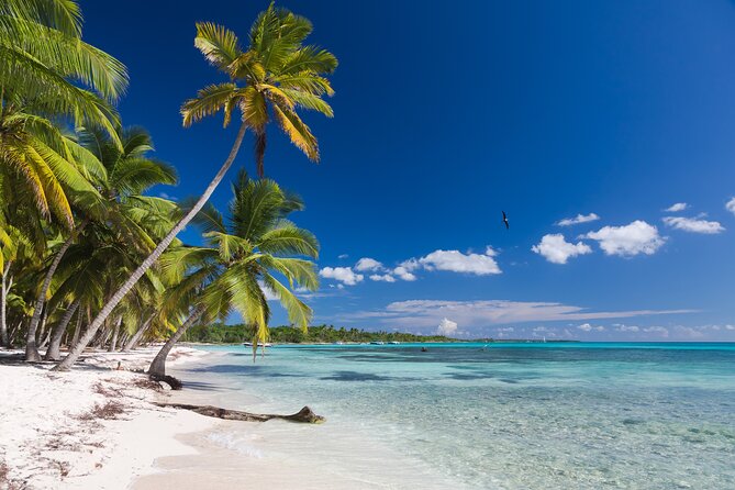Full Day Private Tour to Isla Saona - Schedule