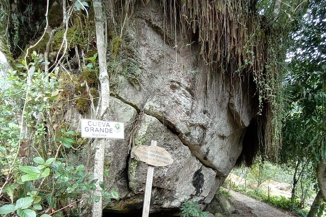 Full-Day Private Tour to La Chorrera Waterfall and El Chiflón - Dining Experience