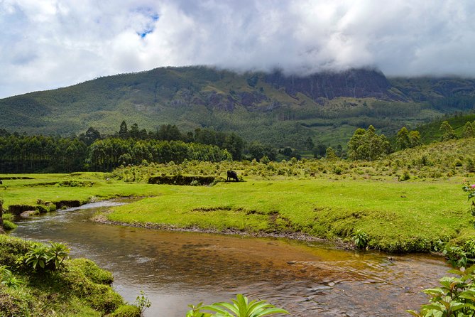 Full-Day Private Tour to Munnar From Kochi With Lunch - Itinerary Overview