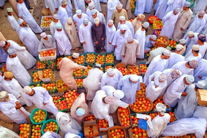 Full Day Private Tour to Nizwa and Jebel Shams From Muscat - Tour Highlights and Inclusions