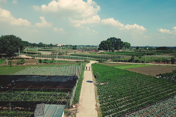 Full-Day Red River Bike Tour From Hanoi With Lunch and Pickup - Inclusions and Logistics