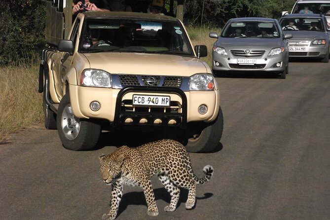 Full Day Safari Shared Tour at Kruger National Park - Meeting and Pickup
