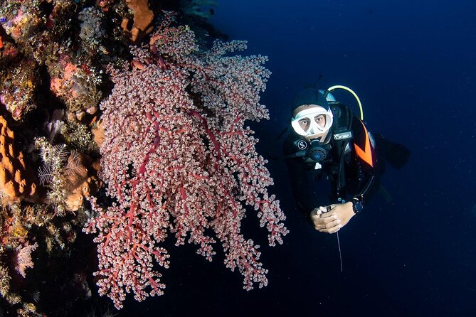 Full-Day Scuba Diving Experience of USAT Liberty in Tulamben - Inclusions of the Tour