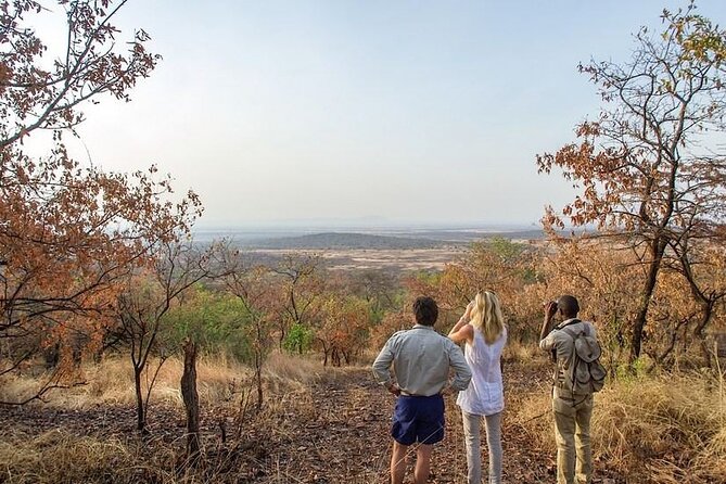 Full-Day Serengeti Tour From Mwanza - Experiencing the Serengeti Ecosystem