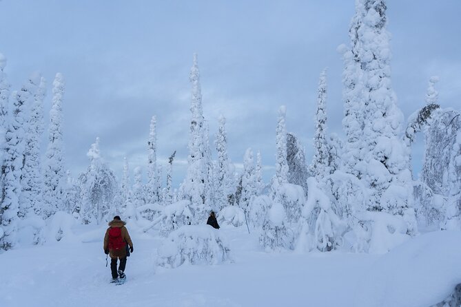 Full-Day Snowshoeing Adventure in Amethyst Mine Pyhä Luosto - Snowshoeing Through Picturesque Landscapes