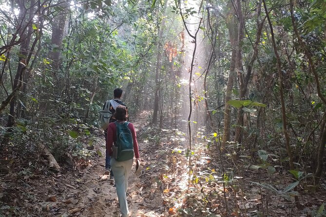 Full Day Sreemangal Tea Garden & National Park Hiking Tour - Highlights of the Experience