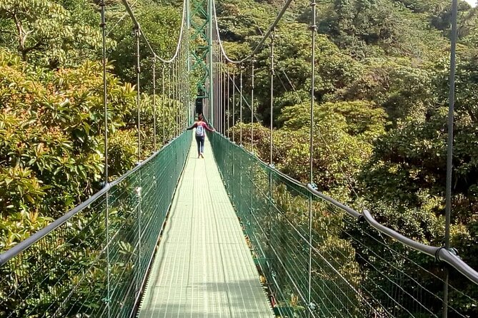 Full Day to Monteverde From San Jose With Canopy and Reptil Amphibians Watching - Included in the Tour
