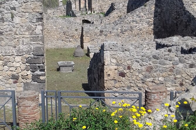 Full Day Tour Pompeii–Sorrento -Positano - Feedback and Experiences