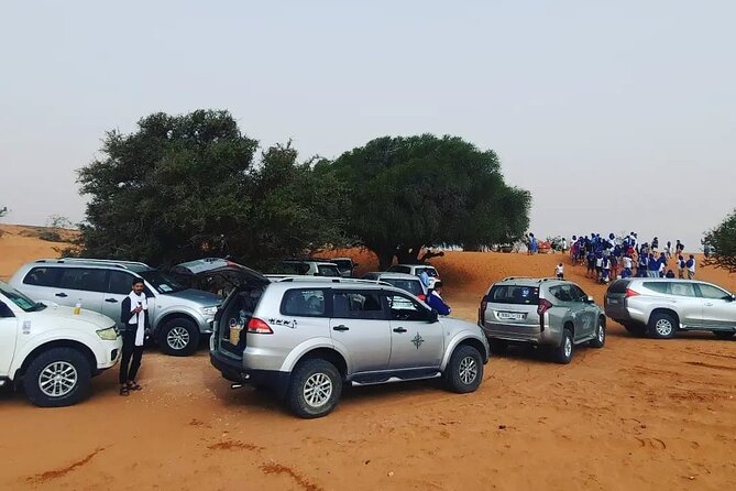 Full Day Tour to Desert Trip in Agadir With Lunch - Inclusions and Logistics