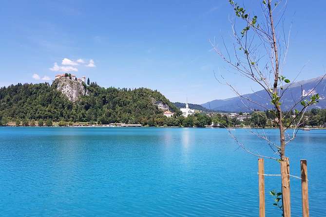 Full Day Tour to Lake Bled & Ljubljana From Koper/Trieste - Included Services