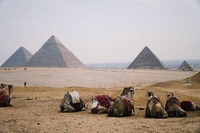 Full Day Tour to Pyramids of Giza, Saqqara Step Pyramids & Sound and Light Show - Highlights of the Itinerary