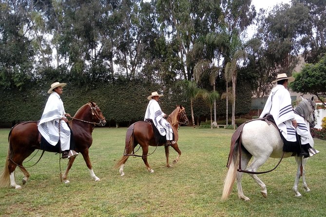 Full Day - Traditional Lima !!! - Pachacamac Archaeological Site