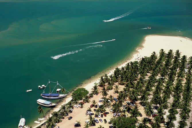 Full Day Trip to Gunga Beach From Maceió - Transportation and Pickup Logistics