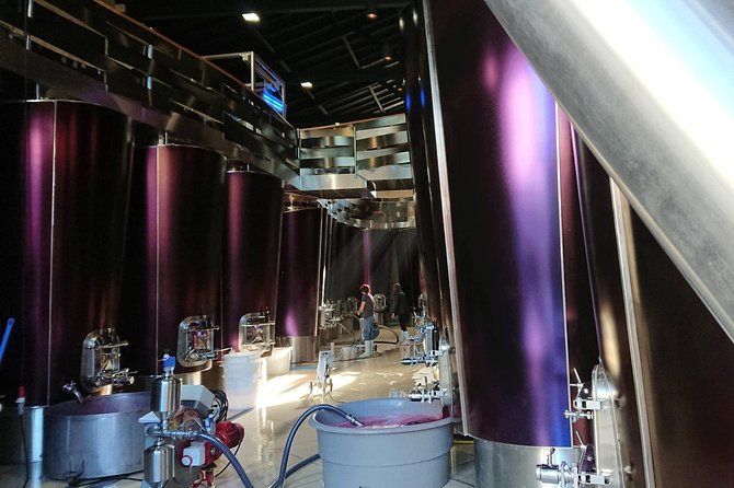 Full-Day Wine Tour in Saint-Emilion (Premium Sedan) - Cancellation Policy