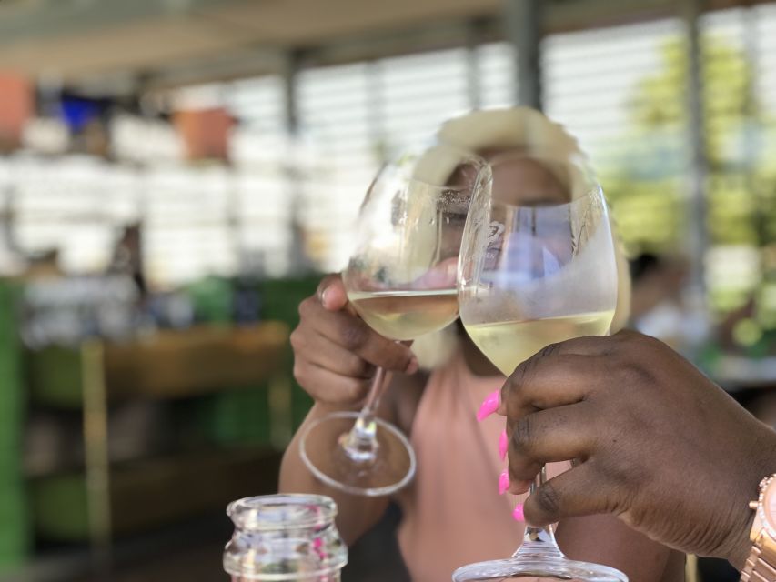 Full Day Wine Tour Stellenbosch and Franschhoek - Exploring Wine Estates