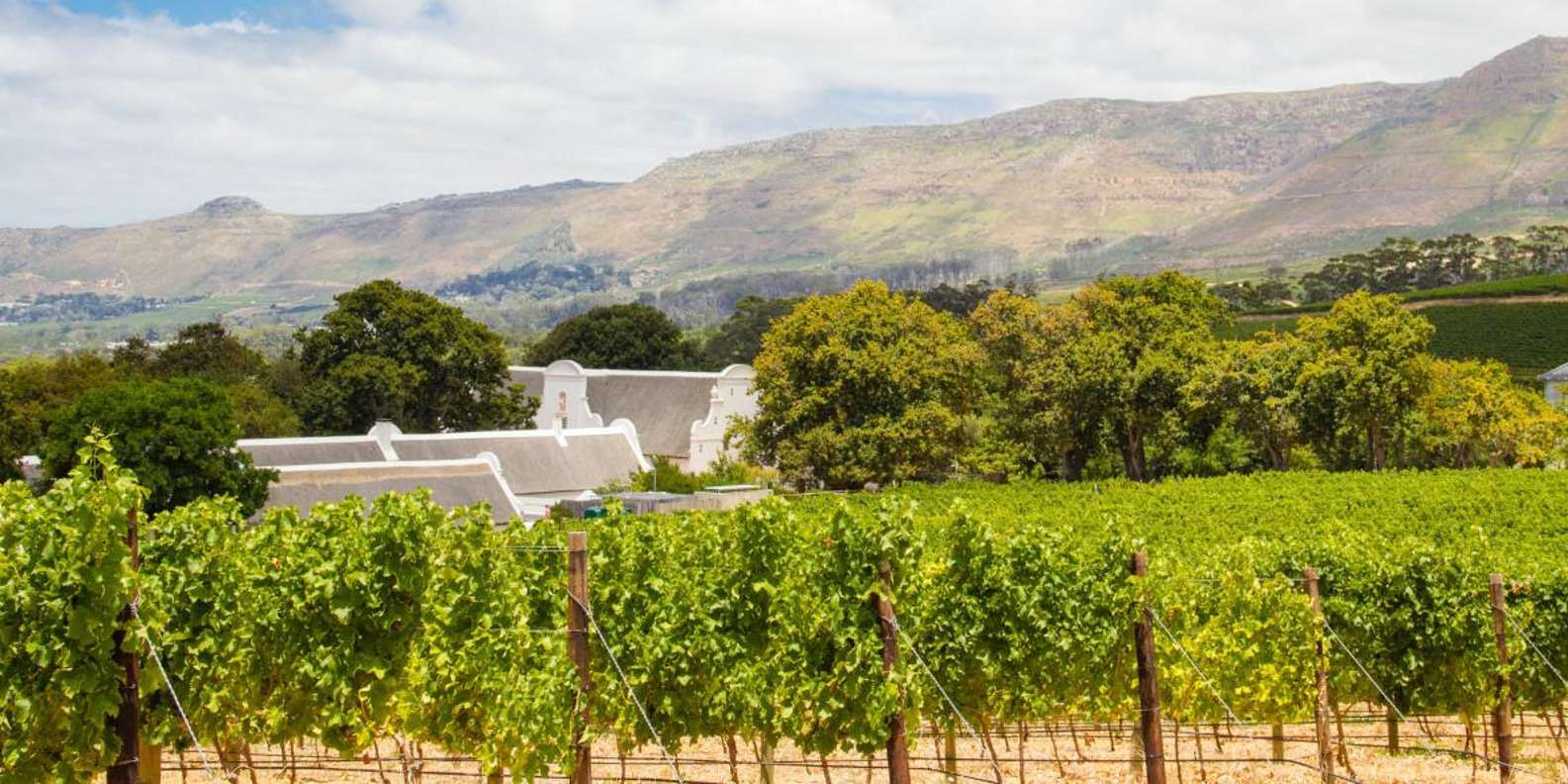 Full Day Winelands Tour - Tour Highlights