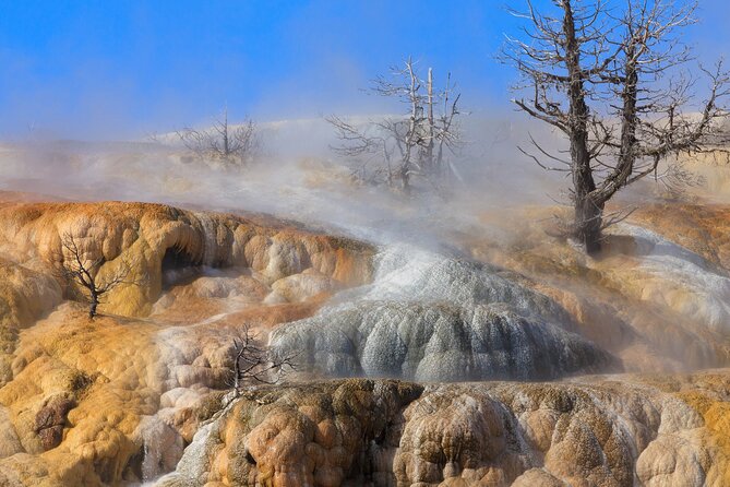 Full Day Yellowstone Natl Park Tour From West Yellowstone - Meeting and Pickup Details