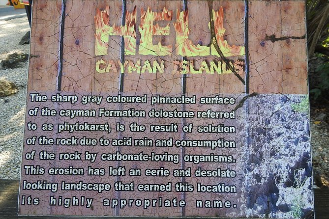 Full Grand Cayman Island Tour - Accessibility and Participation