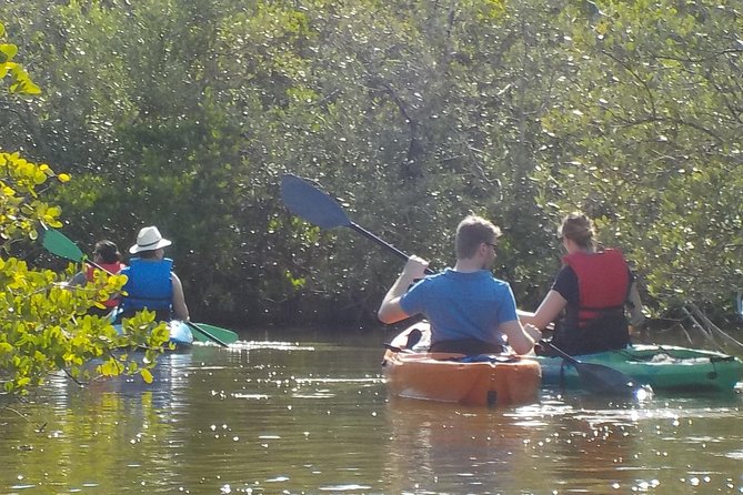 Fully Guided Kayaking Backwater Manatee and Dolphin Tour - Inclusions and Pricing