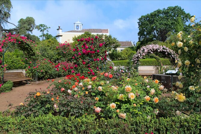 Funchal Old Town & Palheiro Gardens Private Tuk Tuk Tour - Pickup Information