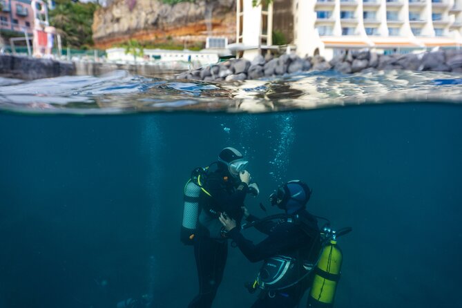 Funchal: Scuba Diving Experience for Beginners - Reviews and Feedback