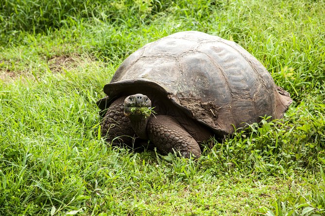 Galapagos Islands Airport Arrival Transfer - Meeting and Pickup Information