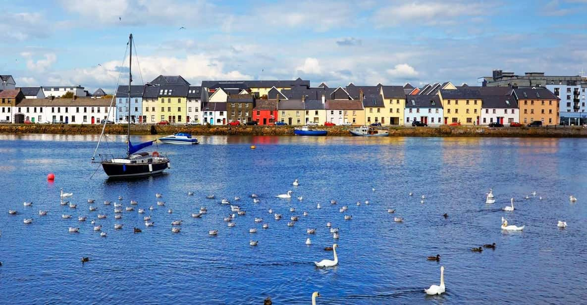 Galway: Best of Galway City & Claddagh Walking Tour - Key Highlights of the Tour