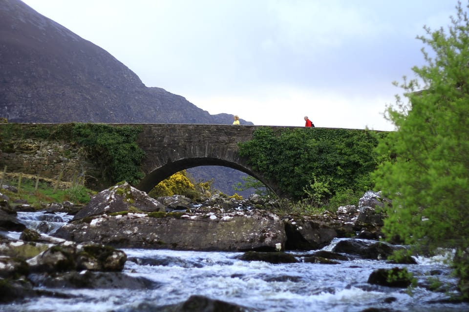 Gap of Dunloe & Lakes of Killlarney Boat Tour - Highlights of the Experience